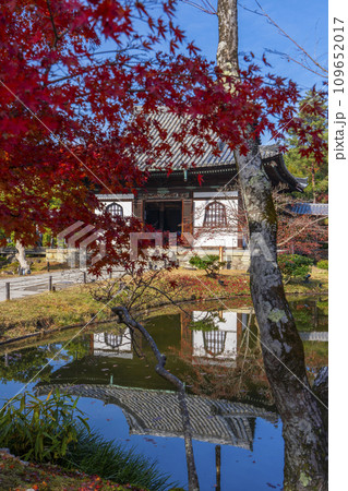 秋の京都 高台寺 紅葉に包まれた開山堂 秋の京都 高台寺 紅葉に包まれた開山堂 109652017