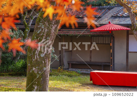 秋の京都 高台寺 紅葉に包まれた雲居庵 野点傘 秋の京都 高台寺 紅葉に包まれた雲居庵 野点傘 109652022
