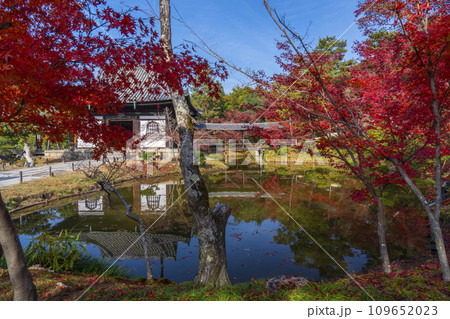 秋の京都　高台寺　紅葉に包まれた開山堂 109652023