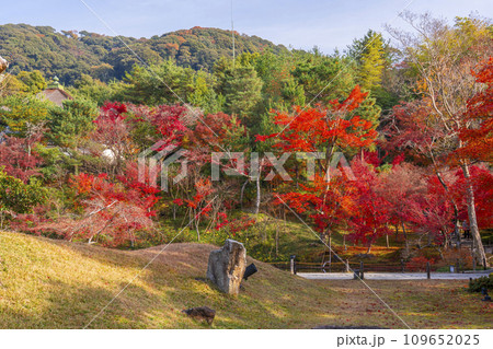 秋の京都 高台寺 紅葉に包まれた開山堂前庭園 秋の京都 高台寺 紅葉に包まれた開山堂前庭園 109652025