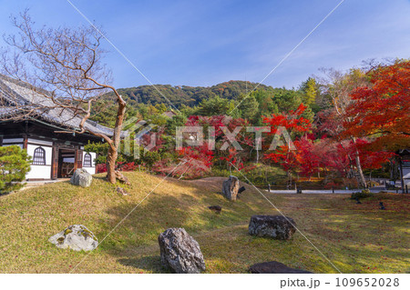 秋の京都　高台寺　紅葉に包まれた開山堂前庭園 109652028
