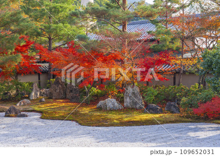 秋の京都 高台寺 紅葉に包まれた波心庭 秋の京都 高台寺 紅葉に包まれた波心庭 109652031