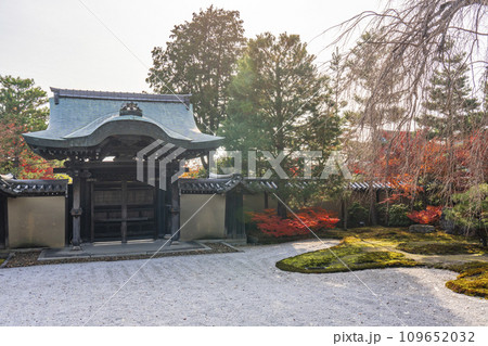 秋の京都　高台寺　紅葉に包まれた波心庭　勅使門 109652032