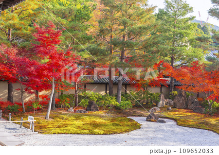 秋の京都　高台寺　紅葉に包まれた波心庭 109652033