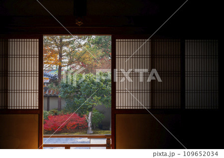 秋の京都 高台寺 紅葉に包まれた波心庭 秋の京都 高台寺 紅葉に包まれた波心庭 109652034