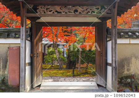 秋の京都　高台寺　紅葉に包まれた中門 109652043