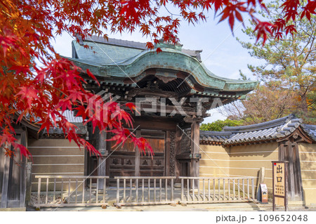 秋の京都 高台寺 紅葉に包まれた勅使門 秋の京都 高台寺 紅葉に包まれた勅使門 109652048
