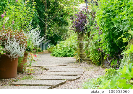 飛び石がある洋風庭園1 109652060