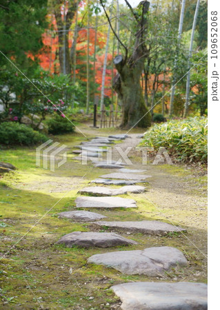 紅葉が見える日本庭園の飛び石5 紅葉が見える日本庭園の飛び石5 109652068