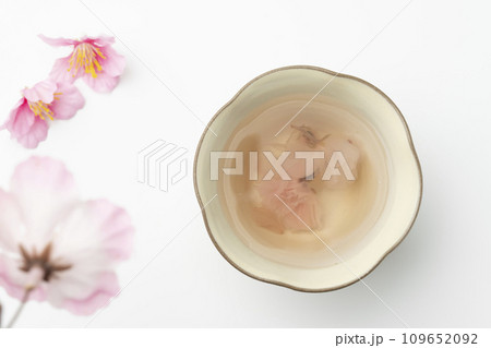 桜茶 桜茶 109652092