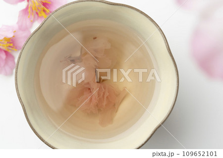 桜茶 109652101