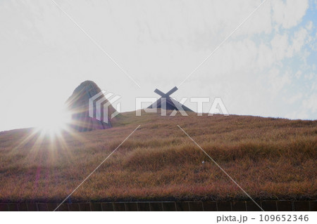 太陽の光が射す芝屋根3 109652346