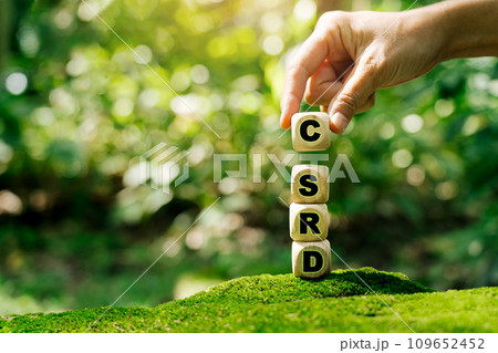 Corporate Sustainability Reporting Directive (CSRD) Concept. The European Union and financial reporting standards regarding sustainability disclosures. 109652452