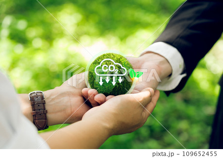 Hand for environmental, global warming, Sustainable development and green business based on renewable energy. Reduce CO2 emission concept. Hand for environmental, global warming, Sustainable development and green business based on renewable energy. Reduce CO2 emission concept. 109652455