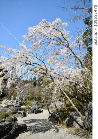 当麻寺奥院(浄土庭園)　【奈良県葛城市】 109652478