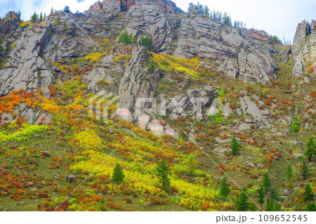 テレルジ国立公園のアルヤバル寺院 テレルジ国立公園のアルヤバル寺院 109652545