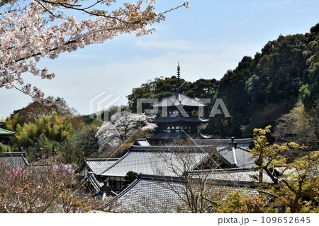 当麻寺(西塔) 【奈良県葛城市】 当麻寺(西塔) 【奈良県葛城市】 109652645