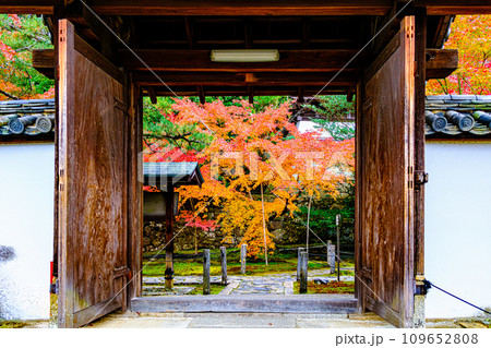 酬恩庵一休寺の紅葉 109652808
