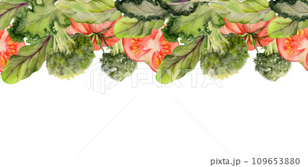 Hand drawn watercolor vegetables and green salad mix for diet, healthy lifestyle, vegan cooking. Illustration seamless border isolated on white background. Design poster, print, website, card, menu Hand drawn watercolor vegetables and green salad mix for diet, healthy lifestyle, vegan cooking. Illustration seamless border isolated on white background. Design poster, print, website, card, menu 109653880