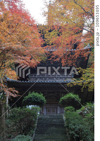 紅葉の名所「四国別格二十霊場第十番札所西山興隆寺」三重塔（本堂の壇から見上げる） 109653895