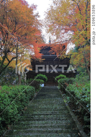 紅葉の名所「四国別格二十霊場第十番札所西山興隆寺」三重塔（石段途中から見上げる） 109653896