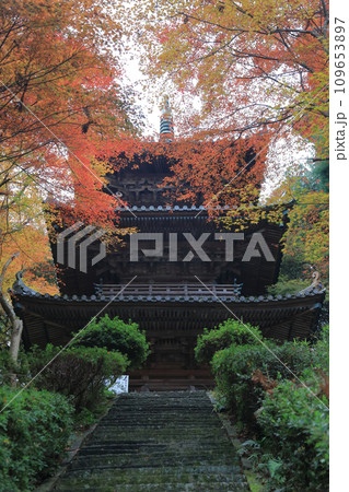 紅葉の名所「四国別格二十霊場第十番札所西山興隆寺」三重塔（石段途中から見上げる） 109653897