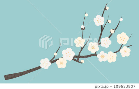 白い梅の花(白梅)のベクターイラスト 109653907