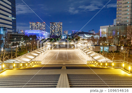 【東京の都市風景】有明（国際展示場駅）周辺の都市夜景 109654616