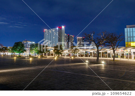 【東京の都市風景】有明（国際展示場駅）周辺の都市夜景 109654622