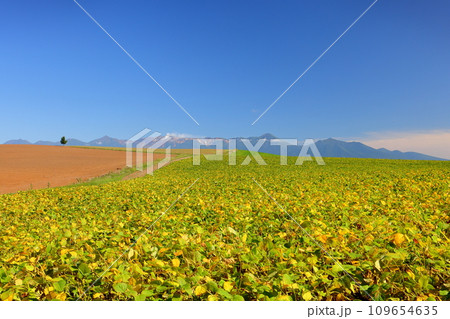 北海道空知郡上富良野町　丘陵地帯に広がる畑と青空と十勝岳連峰の景色 109654635