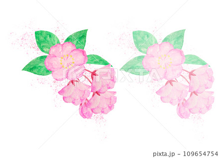 ハナカイドウ 109654754