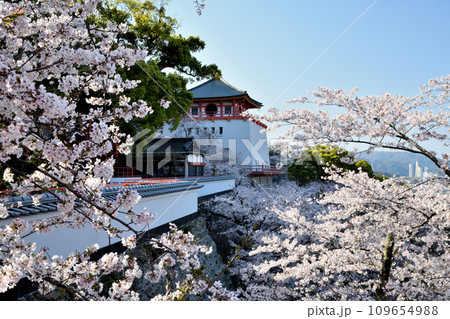 金剛宝寺(紀三井寺)(新仏殿)　【和歌山県和歌山市】 109654988