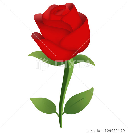 Valentine's Day roses 109655190