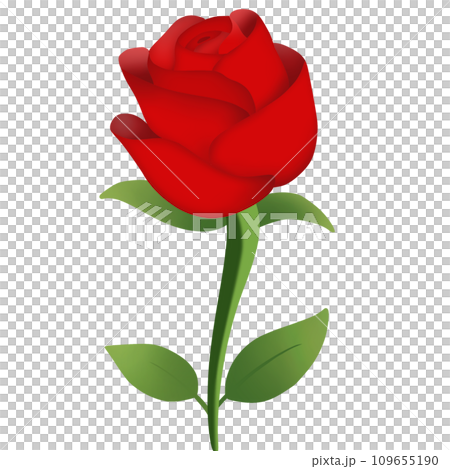 Valentine's Day roses Valentine's Day roses 109655190