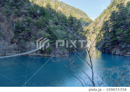 静岡県／寸又峡と「夢のつり橋」の風景 109655356