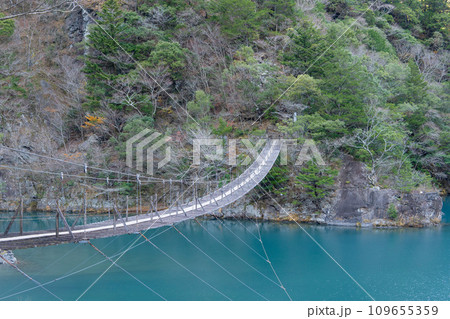 静岡県／寸又峡「夢のつり橋」のアップ 109655359