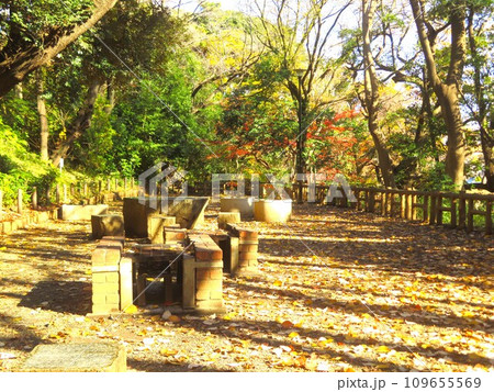 池上本門寺公園のキャンプ場 109655569