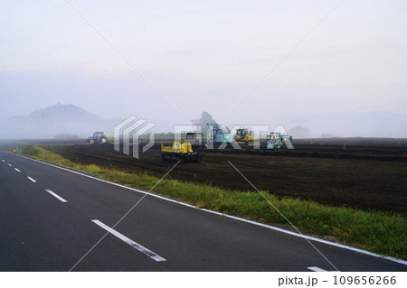 霧の中の重機 109656266