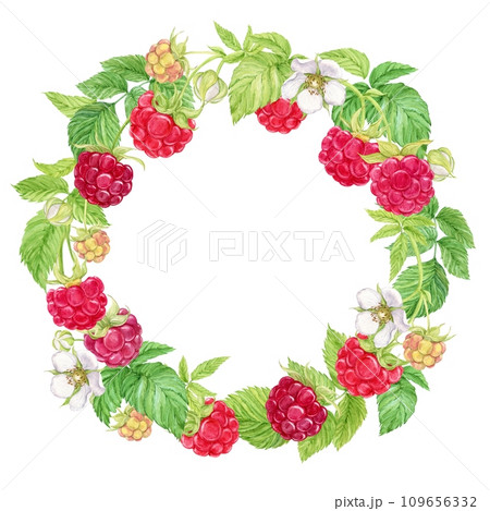 Raspberry wreath on a white background. Watercolor Ripe red berries, flowers, branches and leaves. Watercolor frame for the design of cards, invitations, stickers, labels. 109656332