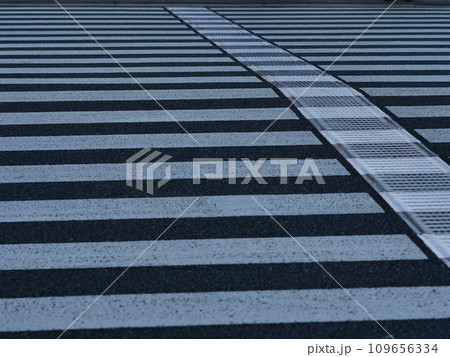 横断歩道 109656334