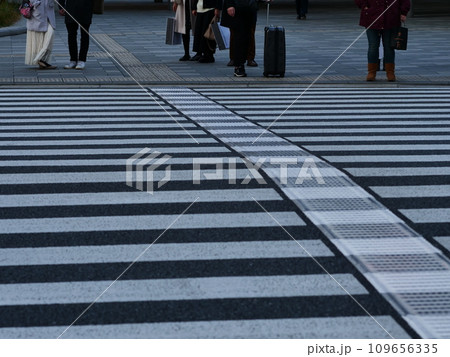 横断歩道 109656335