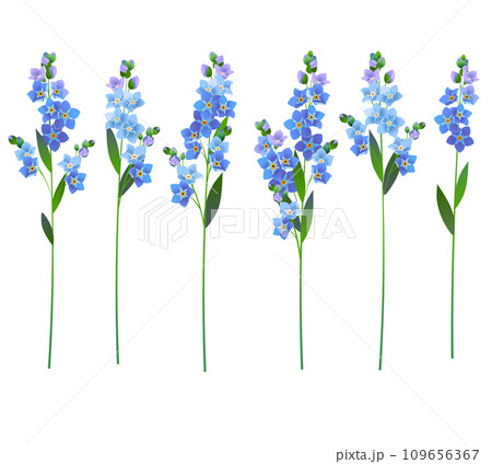 forget-me-not flowers branches for wedding design forget-me-not flowers branches for wedding design 109656367