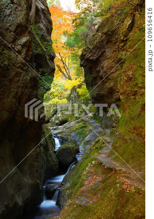 東京都檜原村にある神戸岩下を流れる神戸川の秋の風景 109656416