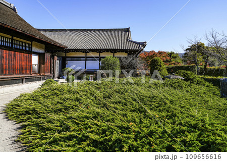 京都市山科　勧修寺（かじゅうじ）境内 109656616