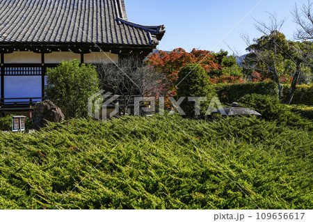 京都市山科　勧修寺（かじゅうじ）境内 109656617