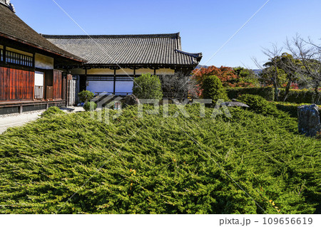 京都市山科　勧修寺（かじゅうじ）境内 109656619