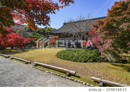 京都市山科 勧修寺(かじゅうじ)境内の紅葉 京都市山科 勧修寺(かじゅうじ)境内の紅葉 109656633