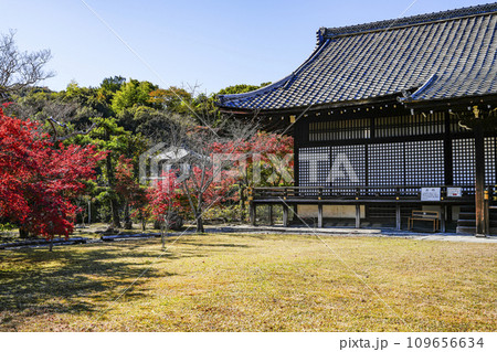京都市山科 勧修寺(かじゅうじ)明正殿(宸殿) 京都市山科 勧修寺(かじゅうじ)明正殿(宸殿) 109656634