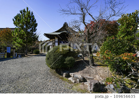 京都市山科 勧修寺(かじゅうじ) 京都市山科 勧修寺(かじゅうじ) 109656635
