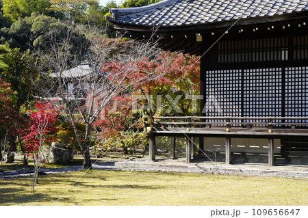 京都市山科　勧修寺（かじゅうじ）明正殿（宸殿） 109656647